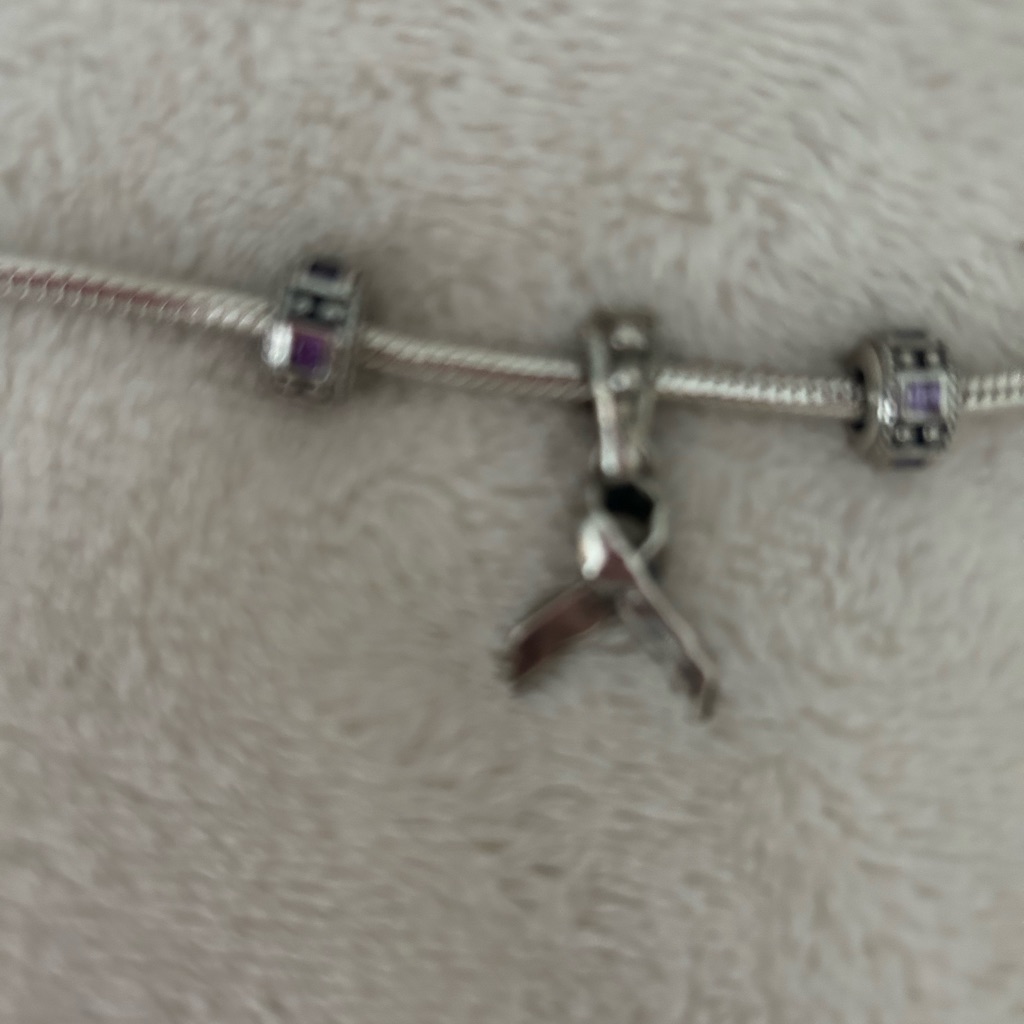 Pandora Silver Charm Bracelet With Four Pandora Charms